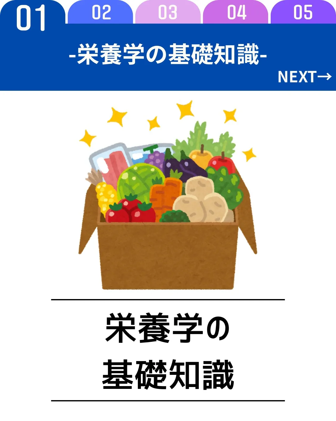 【栄養学の基礎知識】