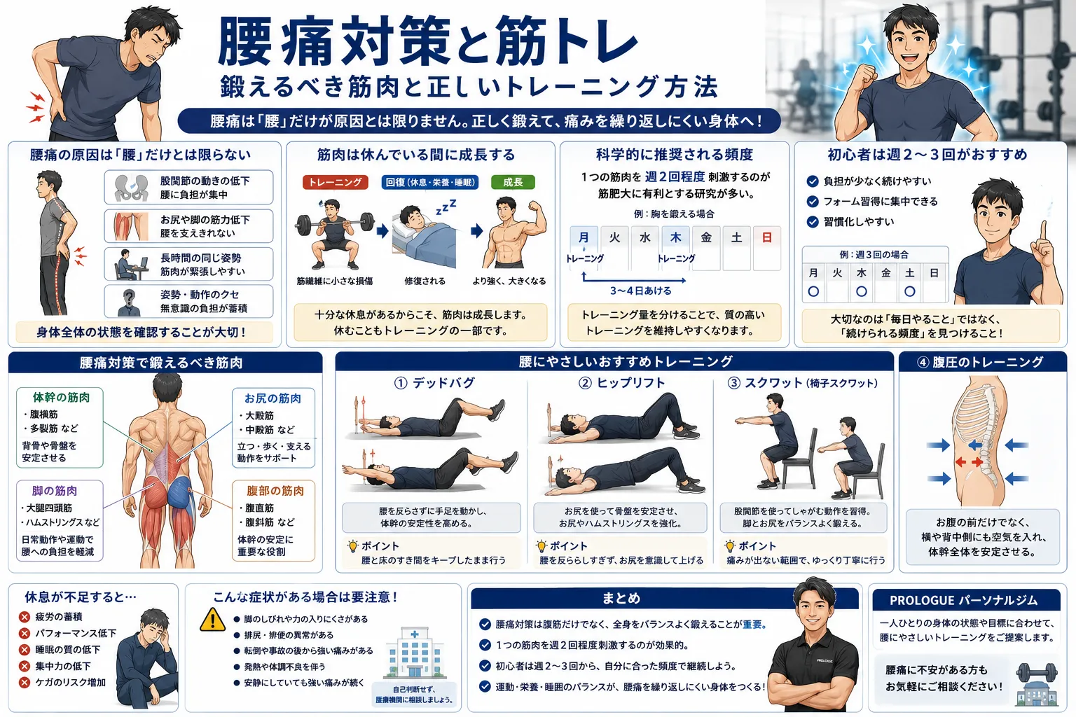 【腰痛対策と筋トレ】鍛えるべき筋肉と正しいトレーニング方法を現役トレーナーが解説